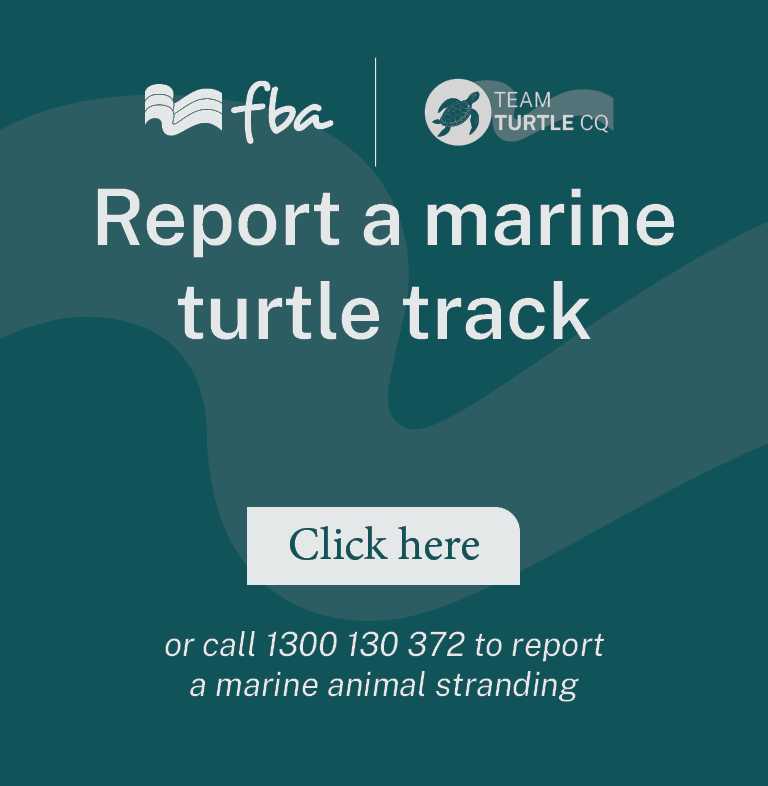 Report A Turtle CTA