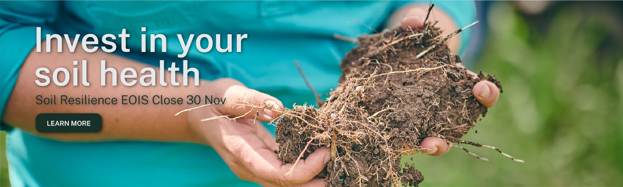 web-desktop-soil-eoi