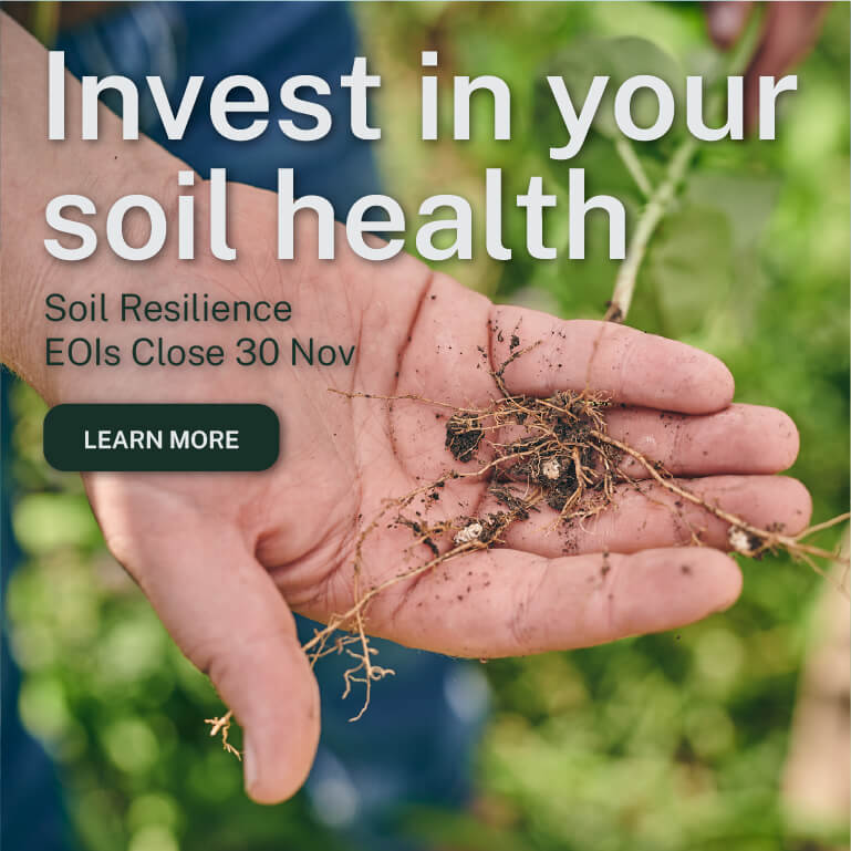 web-mobile-soil-eoi